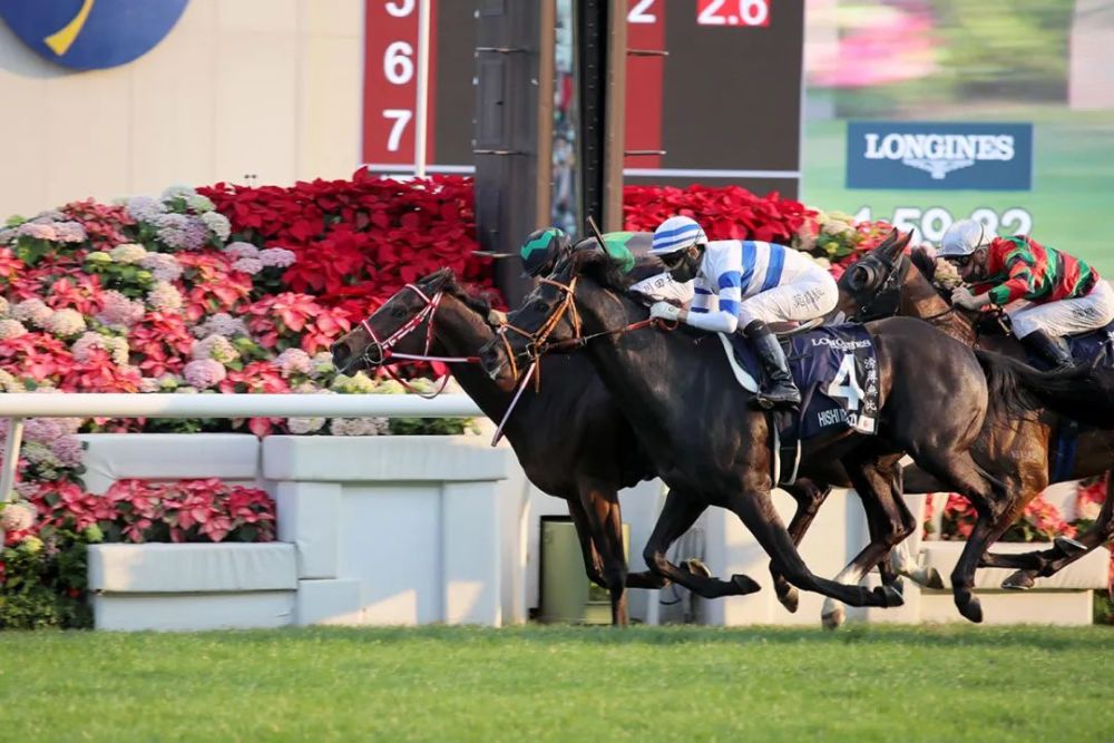 162亿香港20222023年度马季赛事奖金将创新纪录