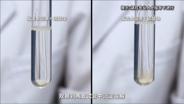 蛋白质的新鲜度怎么判断