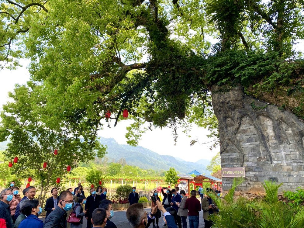 探寻三明沙县俞邦村乡村振兴的独家秘方