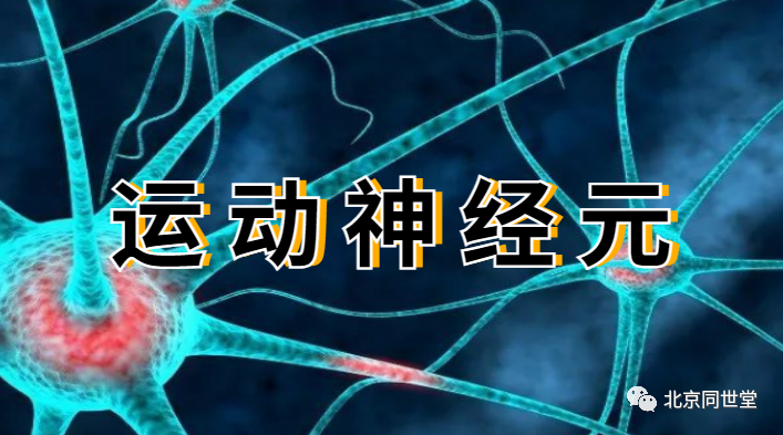 运动神经元病渐冻症有治愈案例吗健脑止萎汤