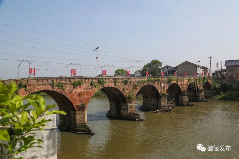 开启了一趟沃野逐梦之旅又带着大家走进泗汾镇醴陵市融媒体中心直播"