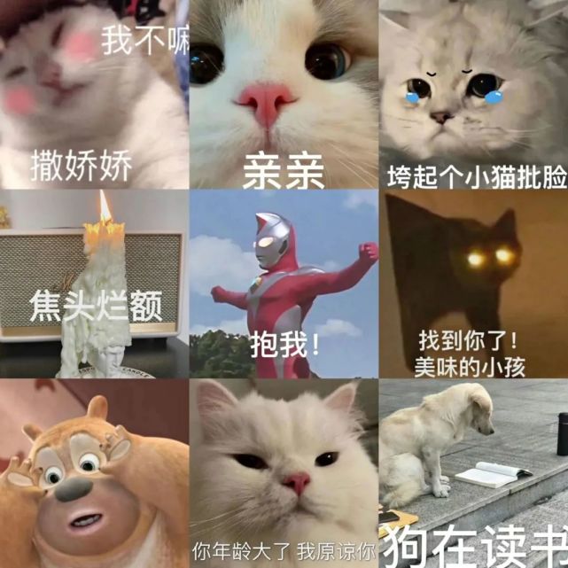 表情包小福利时刻比心心今日份的快乐源泉就分享到这里啦我真的会被