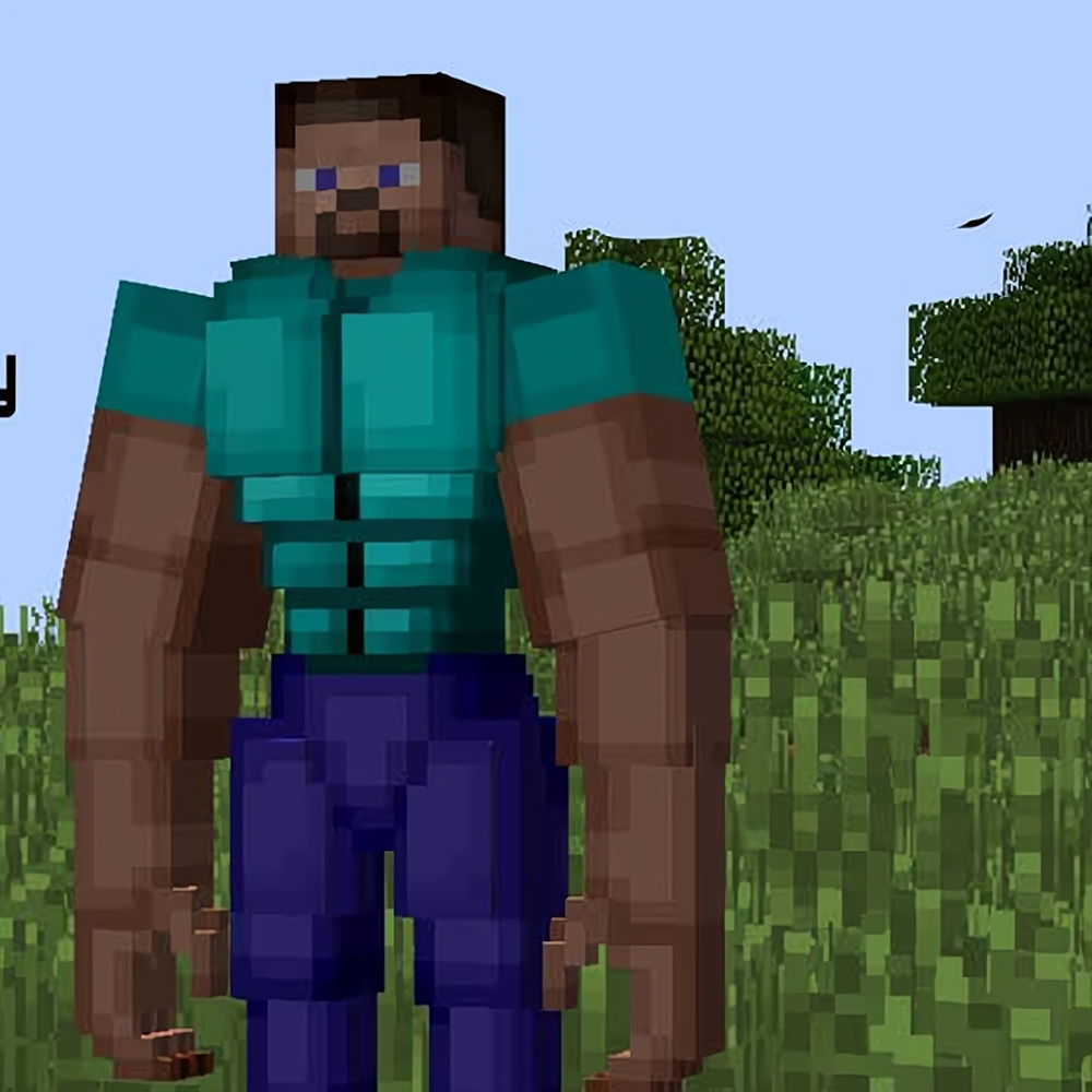 所以由于形象问题,许多人认为jason momoa在minecraft电影中扮演的