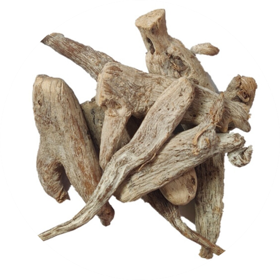 芭蕉根01在《中华本草》中,我们查阅到许多关于芭蕉科植物的阐述,包括