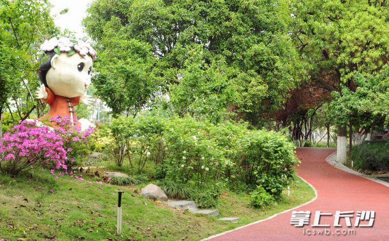 组图紫凤公园春色满园