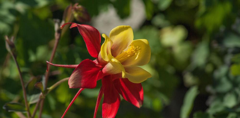 4月日 26日星座运势 不甘平庸 独树一帜的四大星座 腾讯新闻