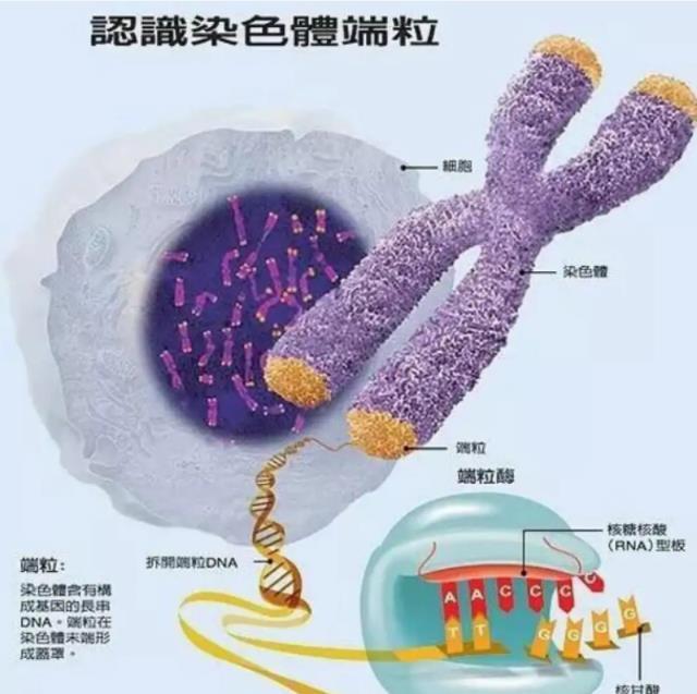 电动化时代为何硬派越野车会卷土重来