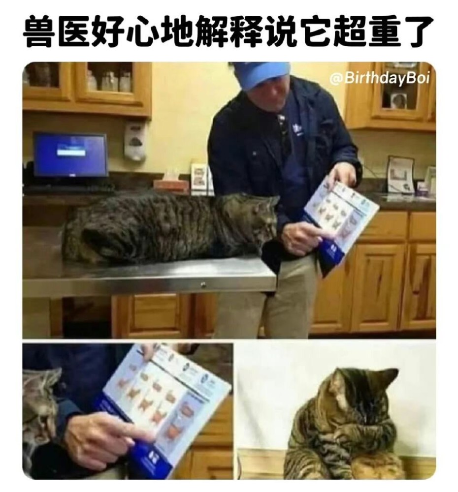 吊图搞笑图片