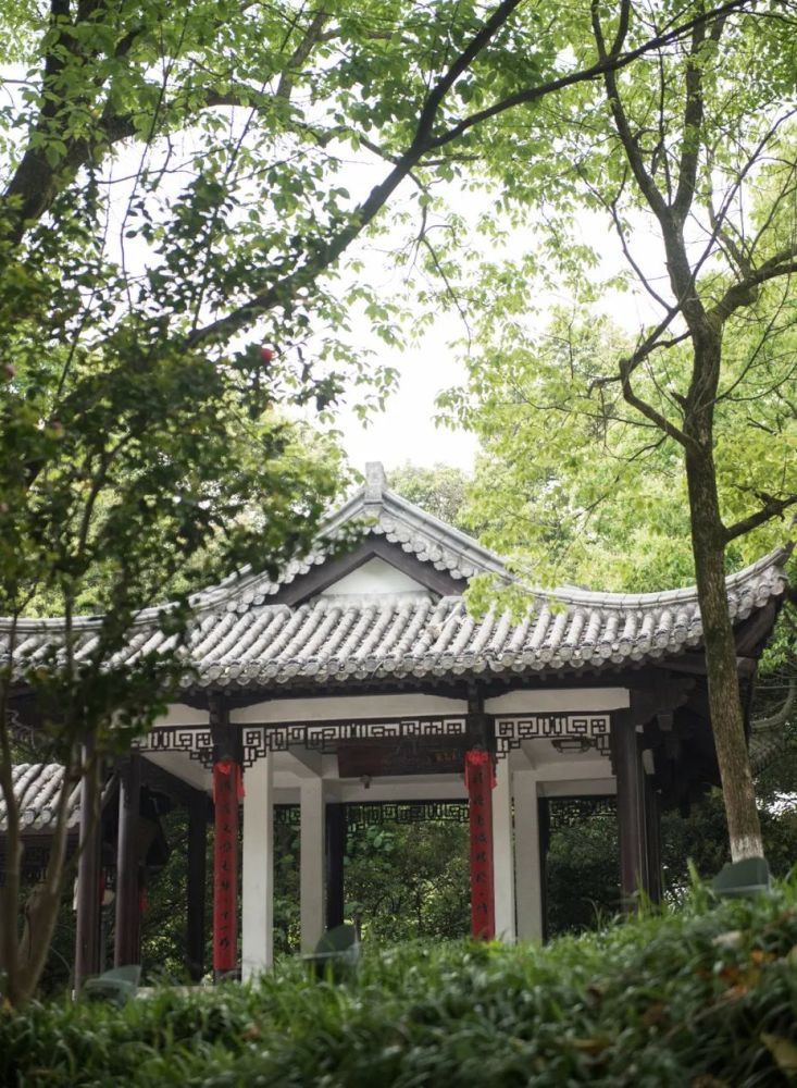 现在的灵溪人民公园如诗画般风景!_腾讯新闻