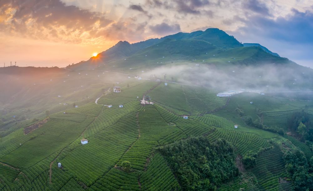 茶山寻"韵"——走近贵州生态茶园_腾讯新闻