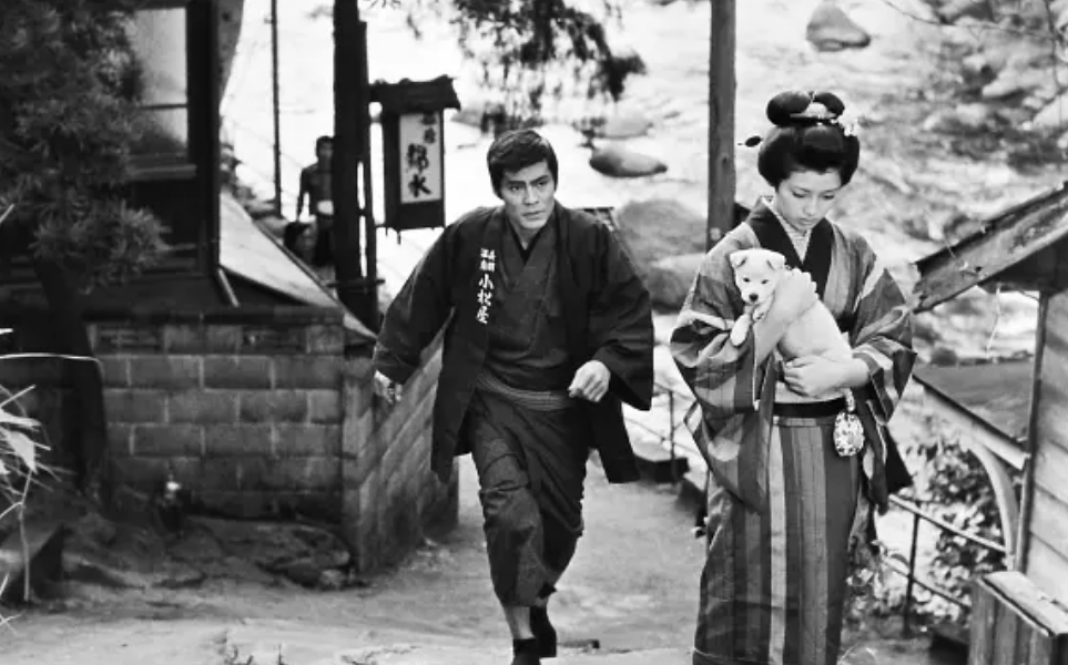 戴焕vs周婉京 川端康成在何种意义上代表了日本的美学 天天看点