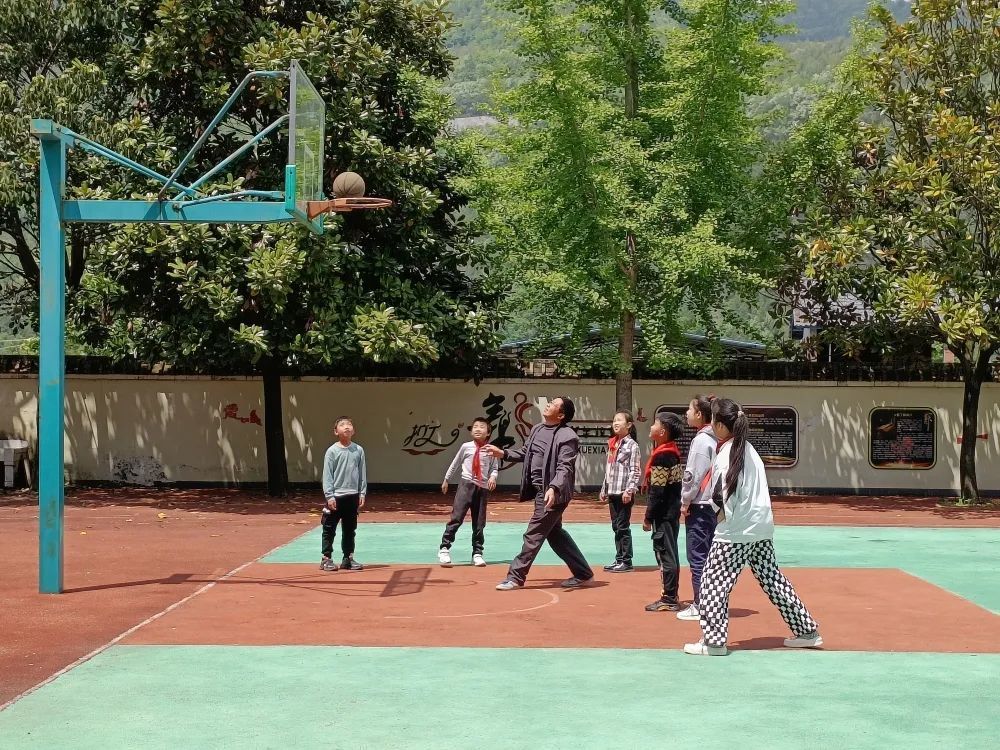 實驗初中西部新區幼兒園繁榮初中夔門幼兒園青龍小學五馬小學三江小學