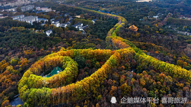 紫金山最高峰图片