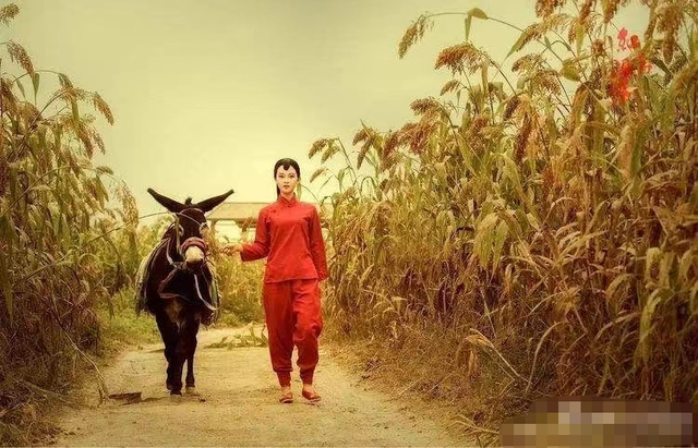 红高粱余占鳌扛九儿进高粱地高调宣爱隐藏不了内心的自卑搜图编辑请