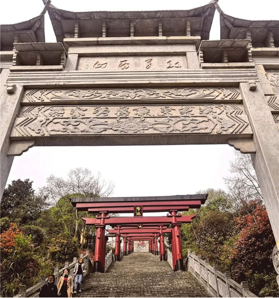 巖峰最高30餘米,山石嶙峋,奇異多姿,岩石峰上生長各類樹木及藤本植物.