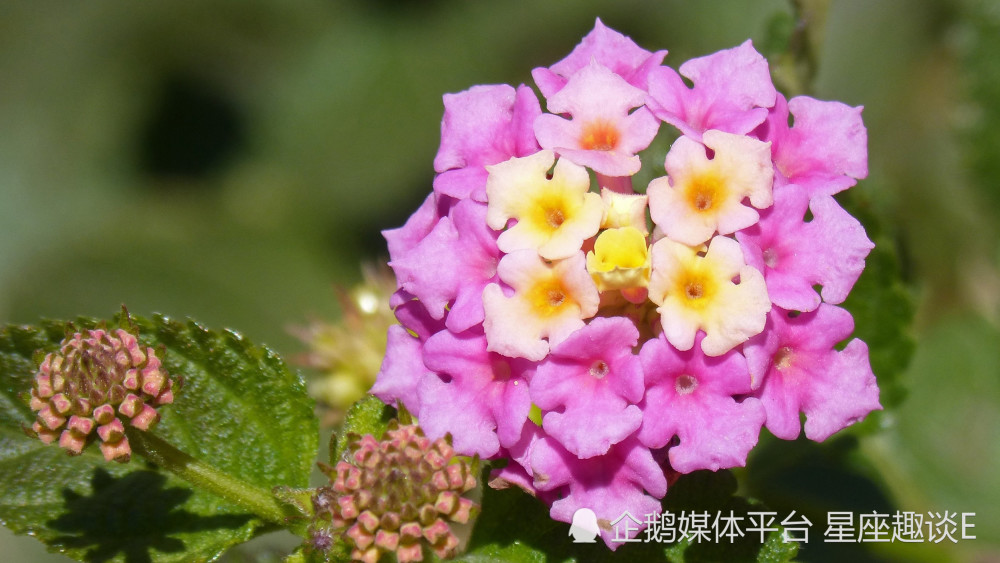 4月22日 28日星座運勢 同舟共濟 蓄勢待發的四大星座 天天看點