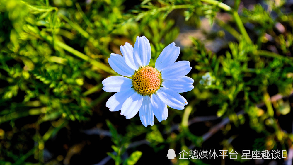 4月22日 28日星座運勢 同舟共濟 蓄勢待發的四大星座 天天看點