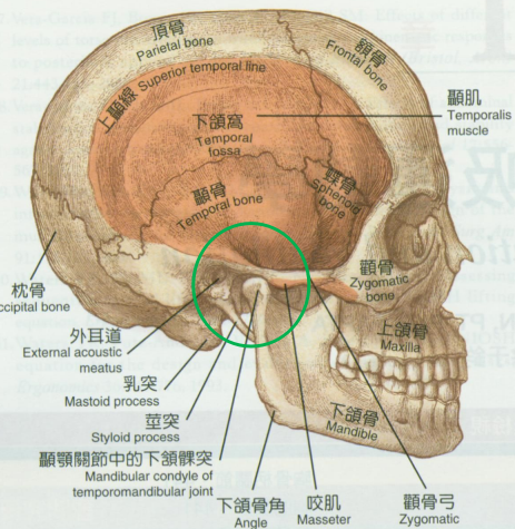 張口疼痛受限彈響伴隨耳鳴可能是顳下頜關節紊亂