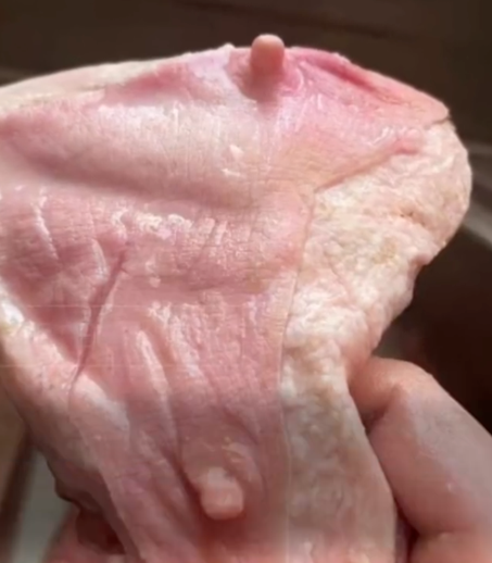 而且全都是猪的奶头,淋巴.但实际发放的猪肉,肥肉占80%,都是大肥膘.