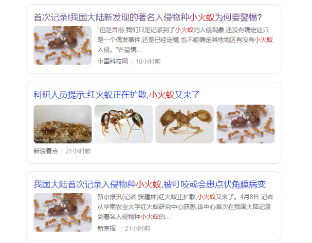 国门生物安全｜警惕小火蚁入侵_腾讯新闻