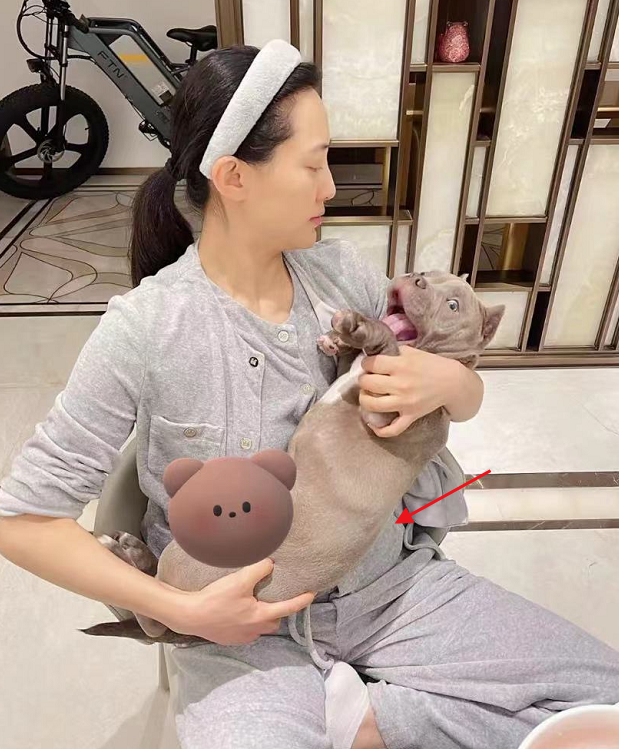 聂远老婆秦子越晒照,腹部凸起遮不住,曾被妈妈女儿轮流催生二胎