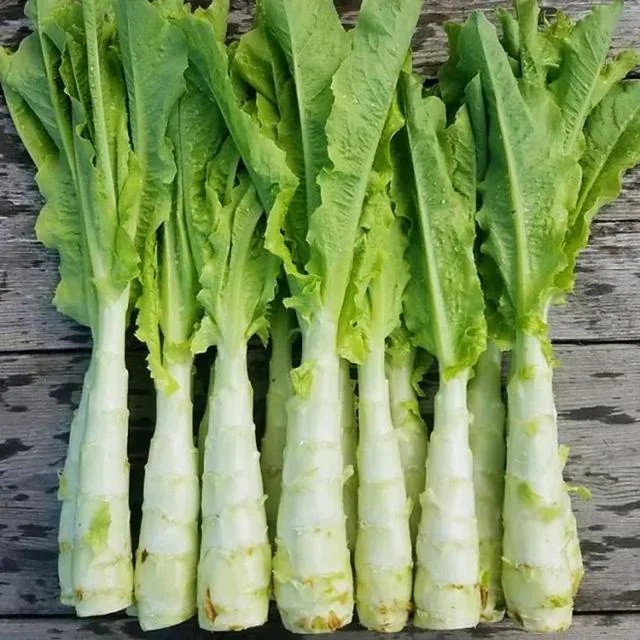 "莴苣"和"莴笋"有啥区别?一字之差区别挺大,看完后涨知识了