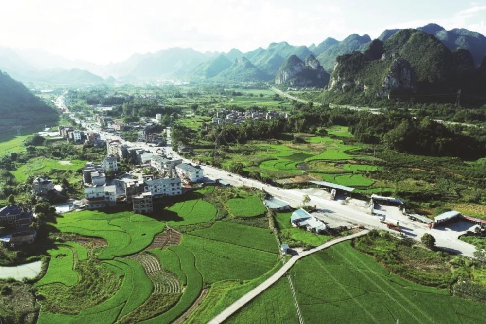 据了解"红色凤飞"田园综合体是金城江区立足河池镇和五圩镇"山,水,林