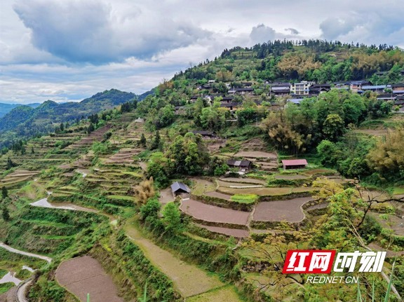 保靖县复兴镇:春风有信 沉睡的土地正"醒"来