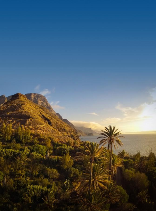 大加那利岛 不止是三毛与荷西的爱情故乡