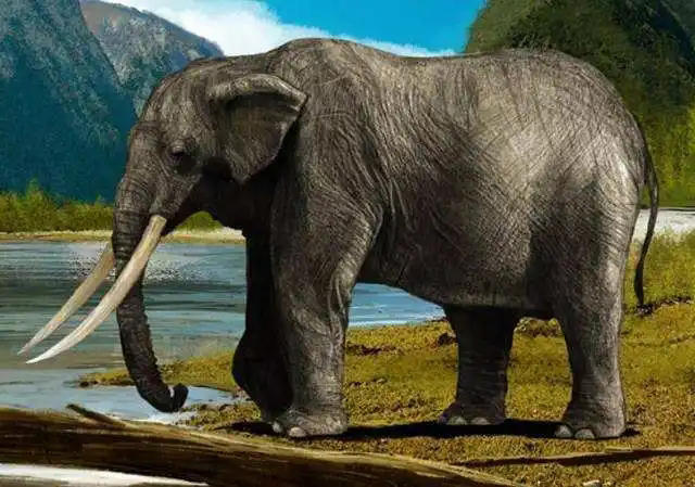 大象走了,留给河南一个"豫"字