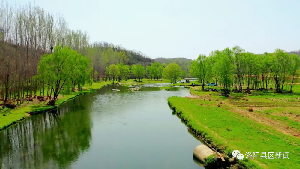 杨柳依依春光媚涧河美景惹人醉