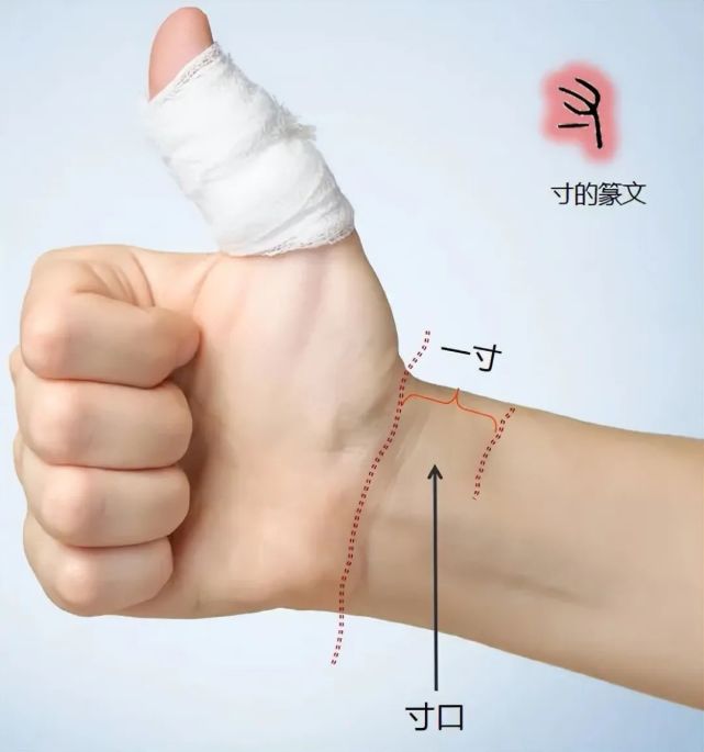 说文解字556课以小人之心度君子之腹度如何读什么意思