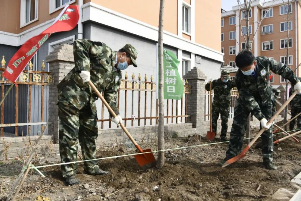 【绿化种植忙"扮靓"好春光】大海林:正"植"春天,播种绿色!_腾讯新闻