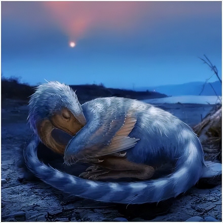 寐龙复原图(图源:"武汉科学技术馆"微信公众号)寐龙的身体体重很轻