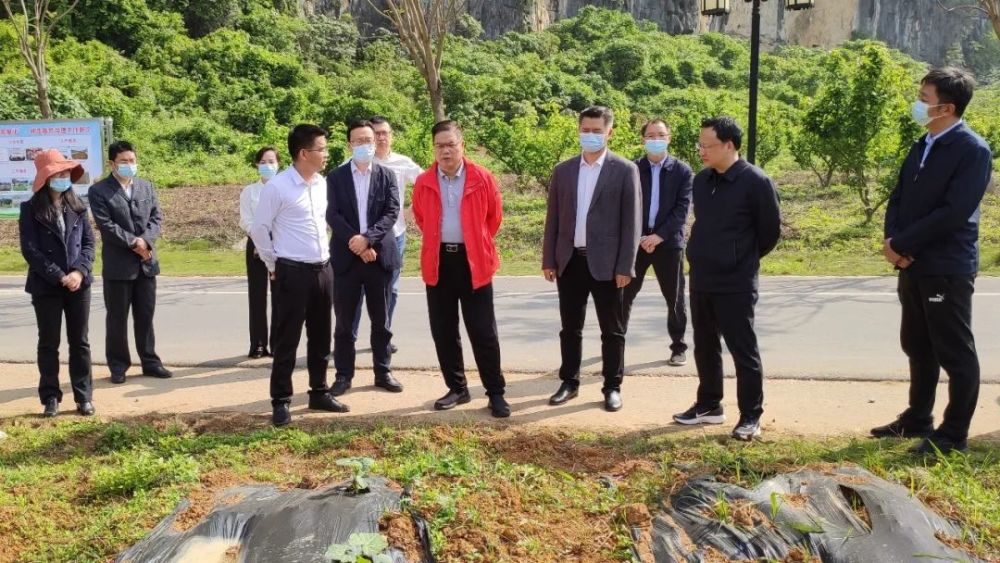自治区人民政府发展研究中心调研组到钟山县调研