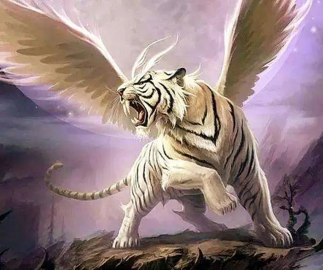 老虎不长翅膀的自然法正义