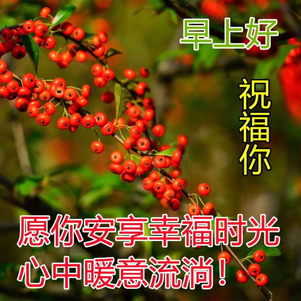 4月22日早上好每日一句祝福語