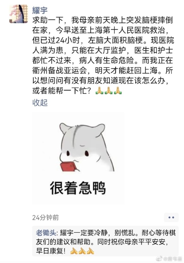 上海著名棋手母亲突发脑梗,医生忙不过来,发朋友圈求助迅速解决