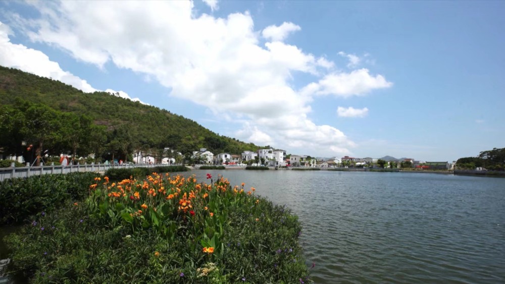 海丰县附城镇新山村:"红 绿"融合发展,绘就乡村振兴画卷_腾讯新闻