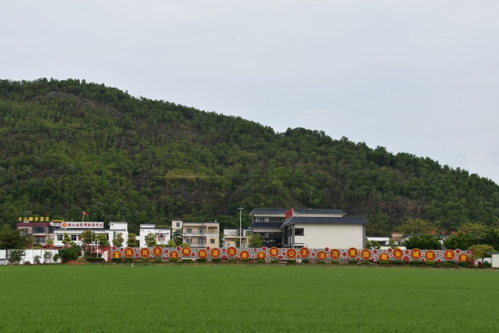 海丰县附城镇新山村红绿融合发展绘就乡村振兴画卷
