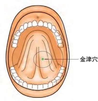 金津玉液穴重舌腫脹消渴口舌生瘡