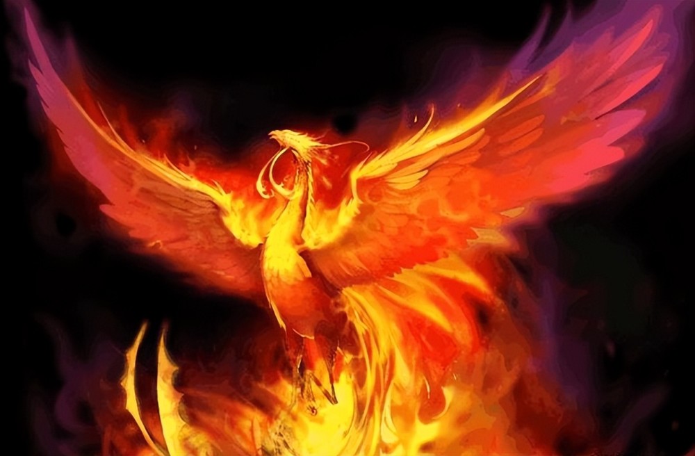神鸟凤凰图 腾讯网