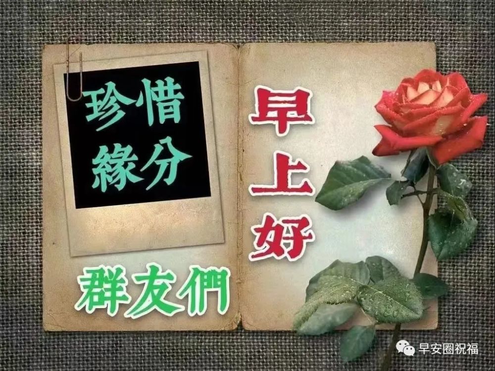 週五最美早上好動態圖片帶字和鮮花清晨問候朋友的祝福圖片