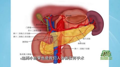 你以為只是胃不舒服很有可能是這種癌中之王五年存活率不足5