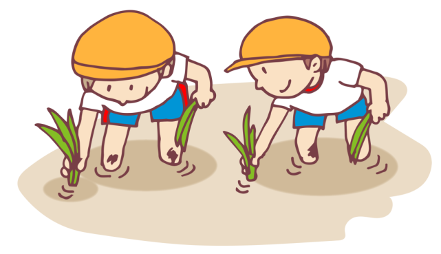 防疫不误抢春耕闵行启动国庆稻育秧翻耕等工作