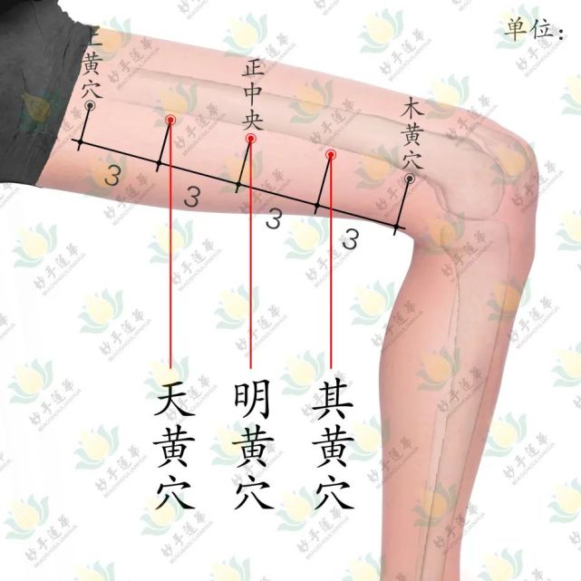 春季疏肝的6個董氏特效穴平時多按按讓你少生氣不生氣