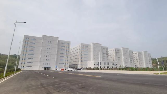 惊喜！韶关又一地发现植物“活化石”桫椤群_腾讯新闻