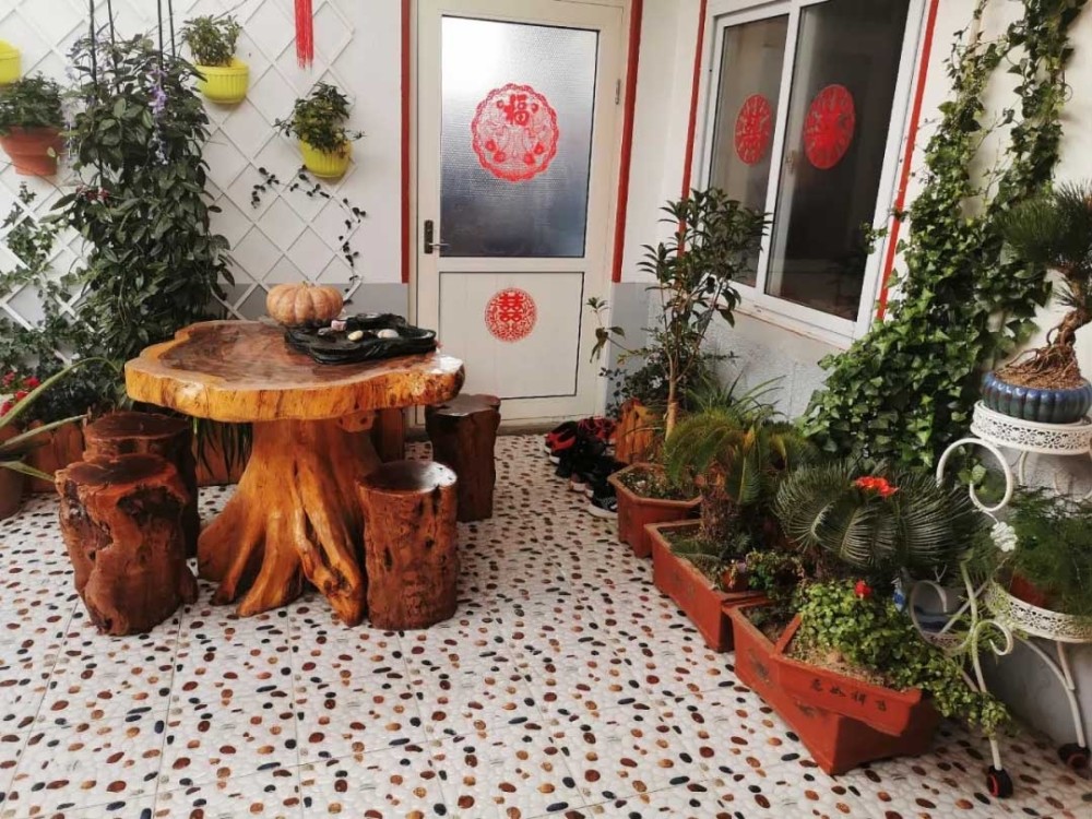 青岛别致小庭院点亮乡村大美景_腾讯新闻