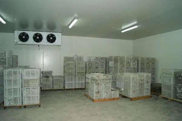 气调冷库与普通保鲜冷库的区别有哪些?气调库有哪些优点?