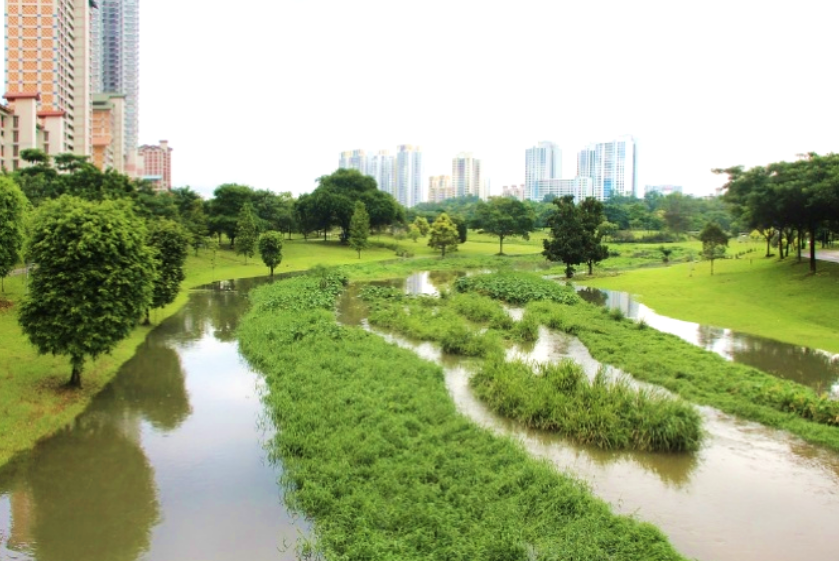 擁抱消失的生物城市中的生物多樣性建設與經營三